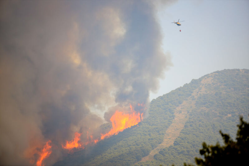 Archivo - Incendio forestal, archivo - Álex Zea