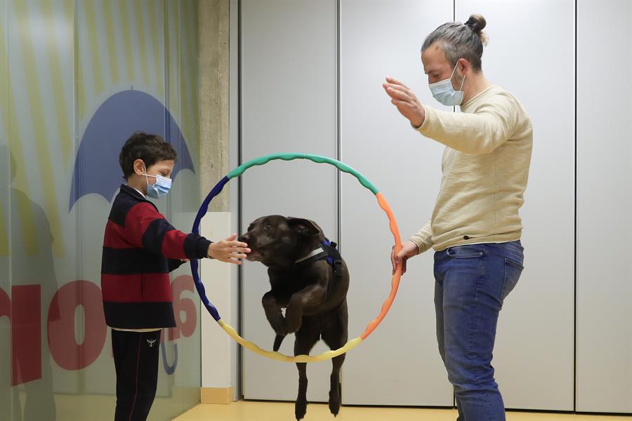 La terapia con perros puede moderar el dolor en el cáncer infantil en un 30 %