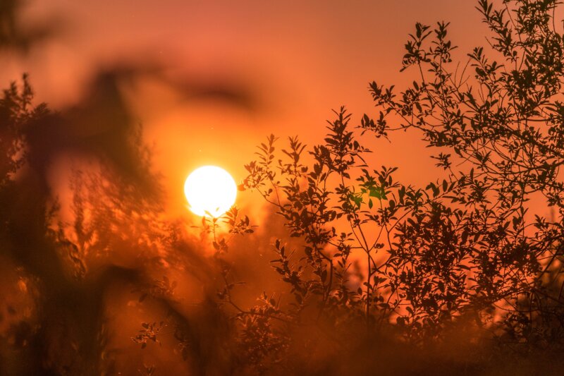 Continúa el calor en marzo, atípico en Canarias