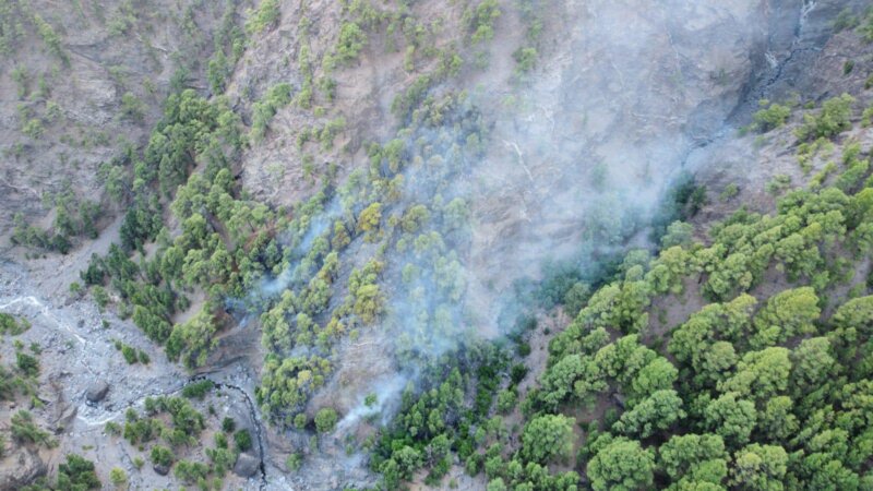 Continúan las labores de extinción en el conato de La Palma