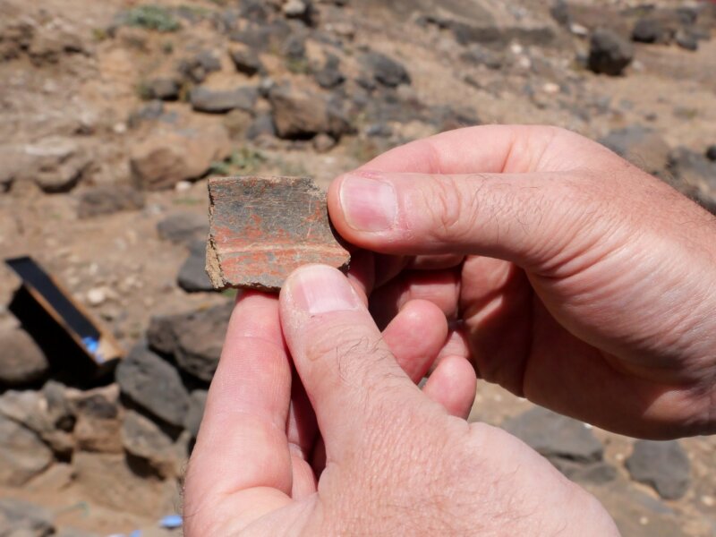 Restos localizados en el yacimiento de Lomo Los Melones en Telde (Gran Canaria) / Gobierno de Canarias