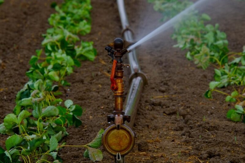 Los trabajos se centrarán en la excavación de una zanja para alojar la tubería que conduce el agua