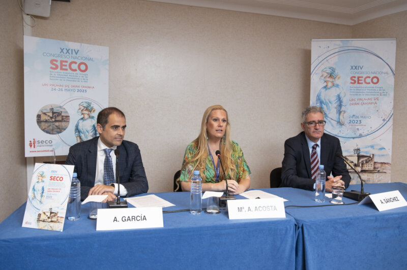 Miembros de la Sociedad Española de Cirugía de la Obesidad en rueda de prensa / Imagen cedida por el Congreso Nacional SECO