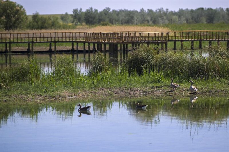 La reserva de agua en los pantanos desciende una semana más