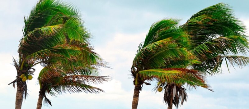 Según la previsión de la Aemet, el viento afectará principalmente a la vertiente noroeste y cumbres, así como a la zona de El Paso en La Palma