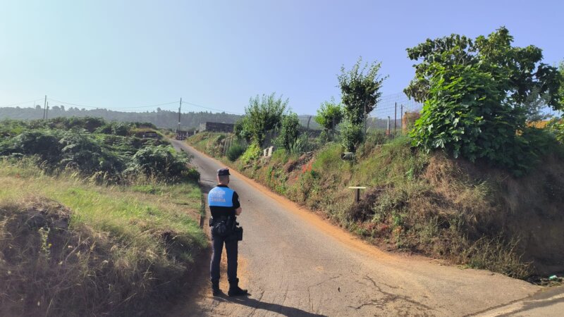 Imagen conato incendio en Los Realejos. Foto de Ana Albendín