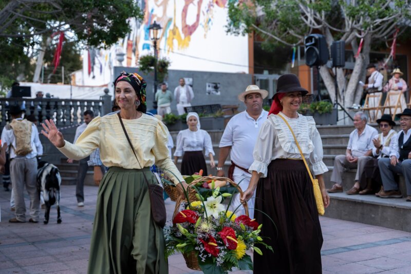 Televisión Canaria emite la romería de San Antonio 'El chico' 