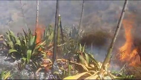 Controlado el incendio en El Sequero, en el sur de Gran Canaria