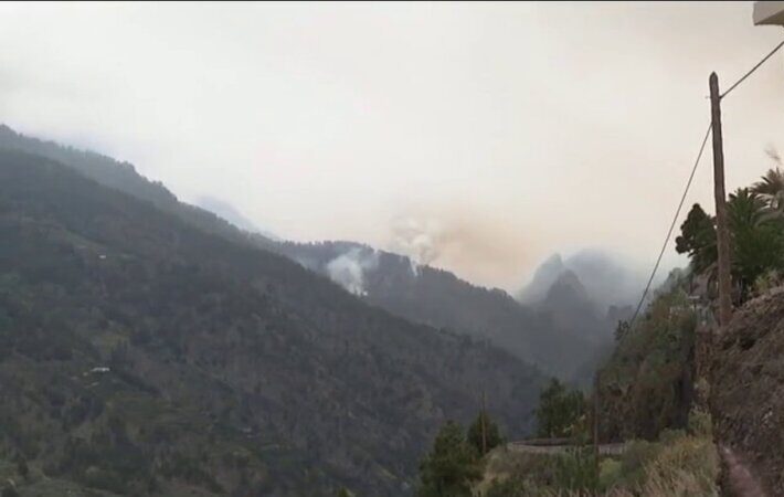 El incendio de La Palma pone en peligro a las especies endémicas