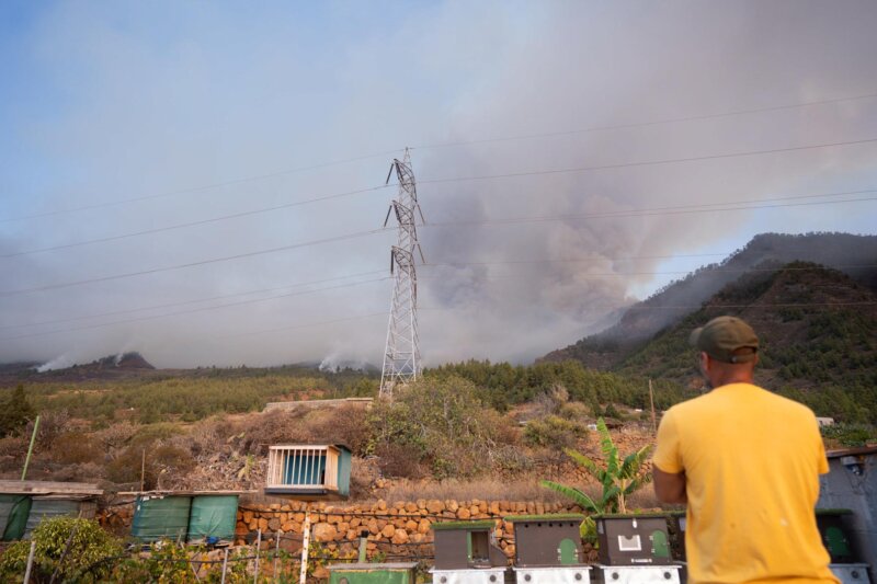 Incendio forestal Arafo y Candelaria (Tenerife)