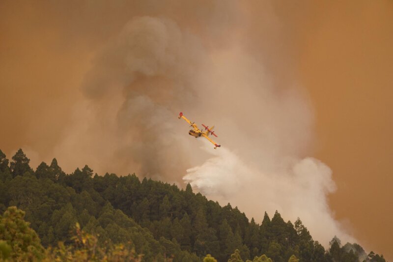 Un total de 243 efectivos estatales trabajan por controlar el incendio