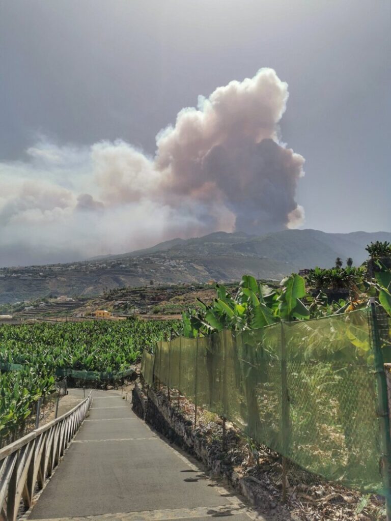 Incendio forestal Arafo y Candelaria (Tenerife)