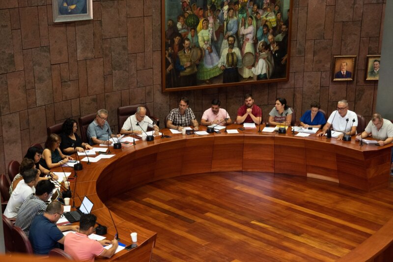 Pleno del Cabildo de La Gomera / Europa Press