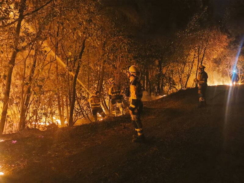 El incendio de Tenerife en imágenes