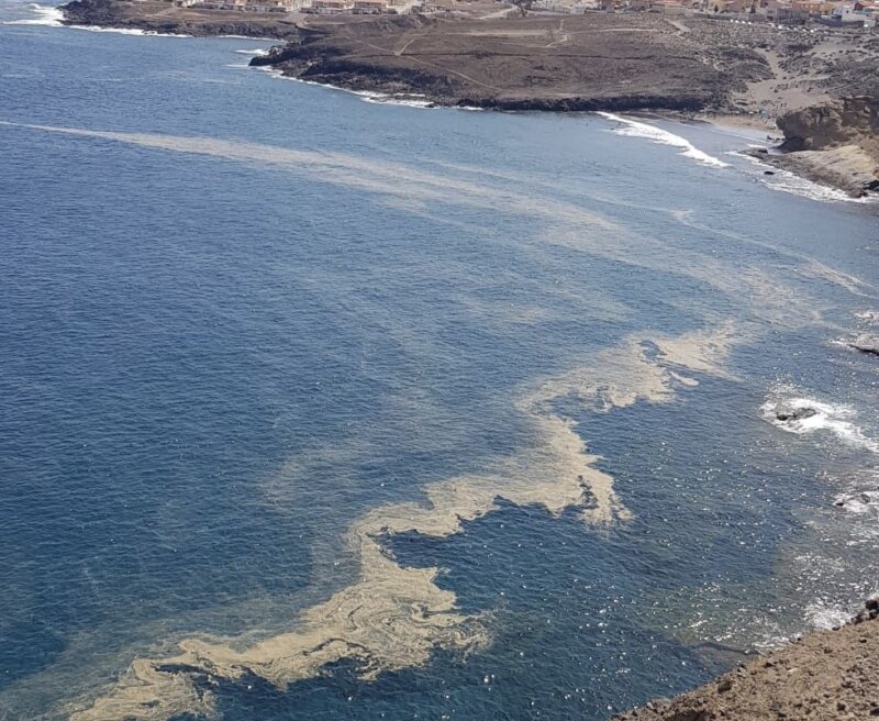 Imagen de la presencia de microalgas en la costa de Granadilla