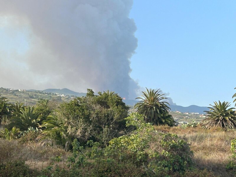 Incendio forestal Arafo y Candelaria (Tenerife)