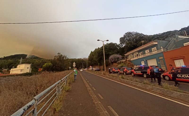 El incendio de Tenerife ha arrasado más de 3.000 hectáreas