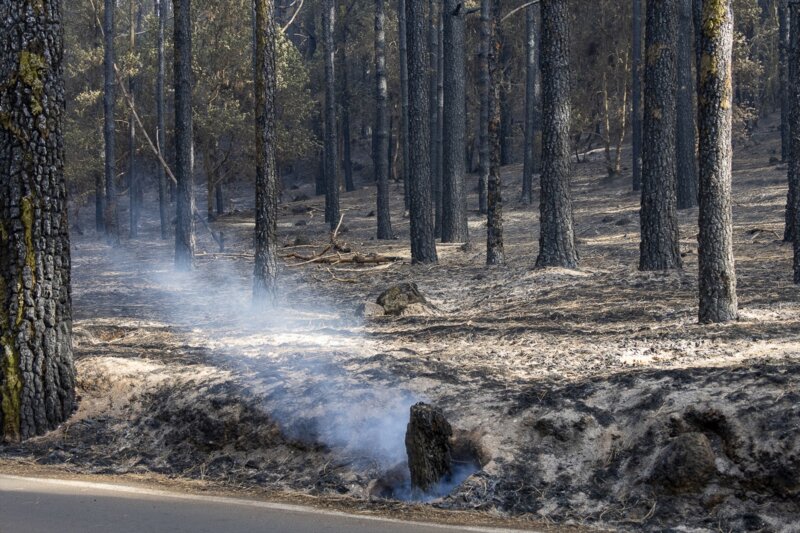 2024: un verano con menos incendios forestales y más estrés hídrico