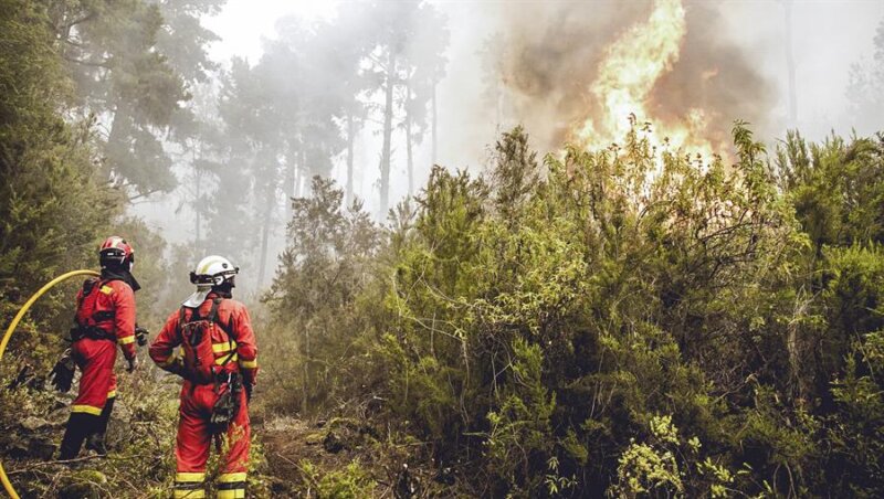 El fuego desangra la Corona Forestal de Tenerife