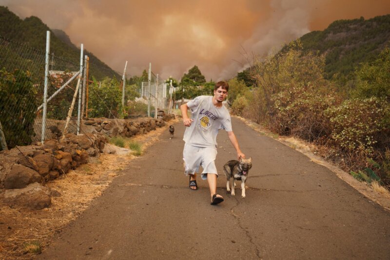 Incendio forestal Arafo y Candelaria (Tenerife)