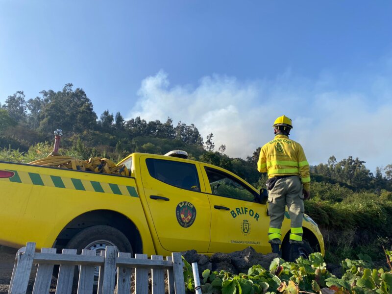 reactivaciones incendio de Tenerife