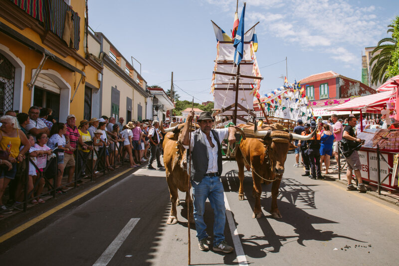 Televisión Canaria celebra la romería de La Esperanza