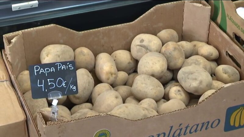 Papas a la venta en Canarias