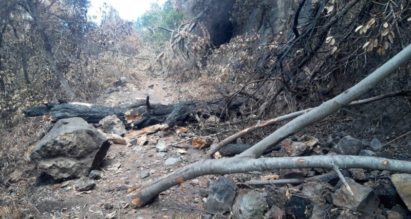 Continúa prohibido transitar por pistas y senderos del incendio