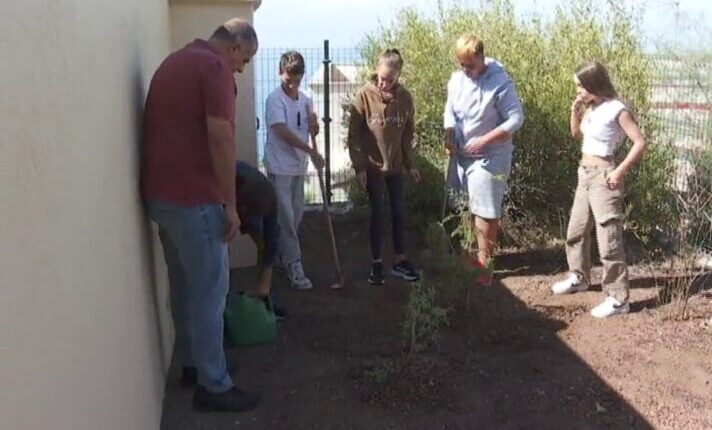 Los colegios de Canarias se comprometen con el medio ambiente