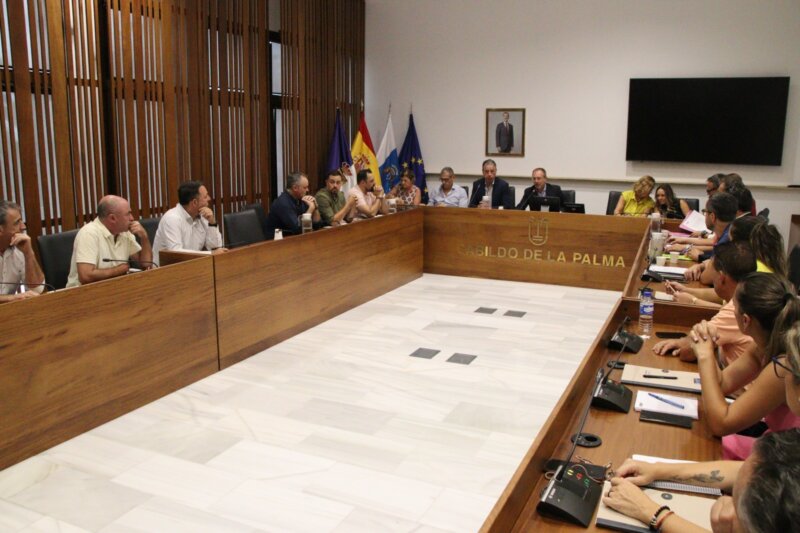 Buscan soluciones al problema de la vivienda en La Palma