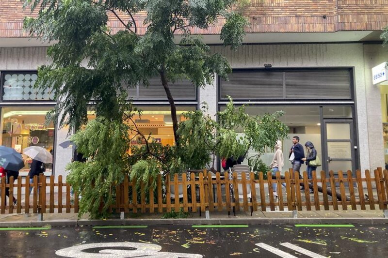 Vista de la calle Caracas de Madrid, esquina Zurbano, donde aparece un árbol tumbado por las intensas lluvias / EFE / Juan Carlos Gomi