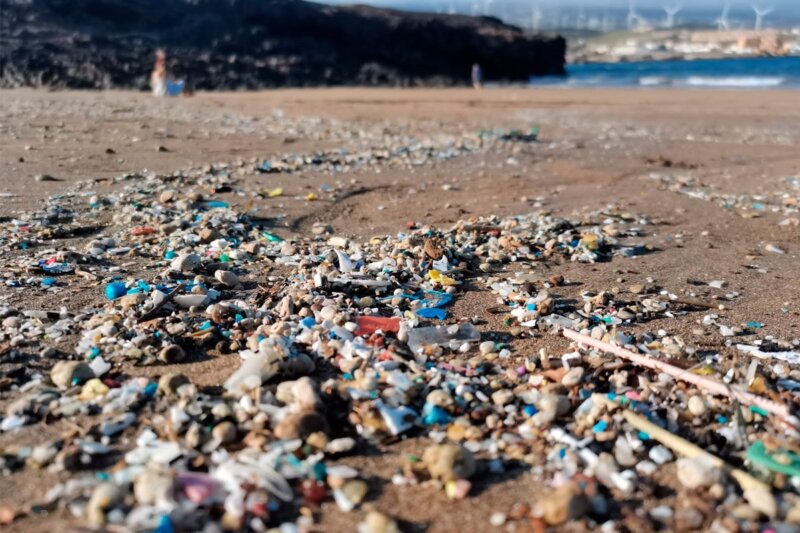 Microplásticos en la Playa Grande de Arico / ULL 