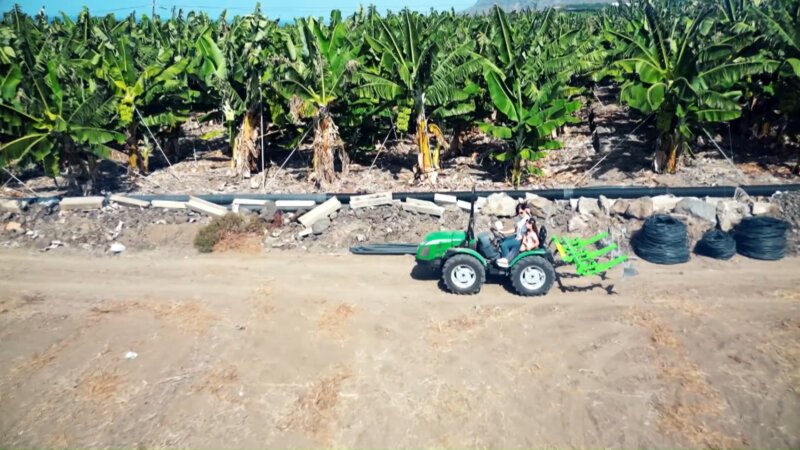 'Noveleros' rinde homenaje este martes a las Reinas del Campo