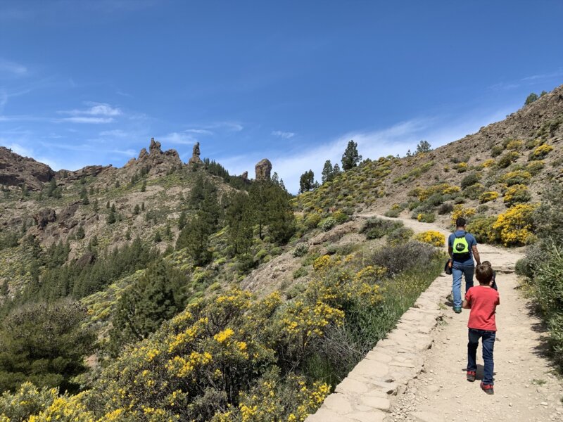 Acceso al Roque Nublo. Imagen de recurso Europa Pres