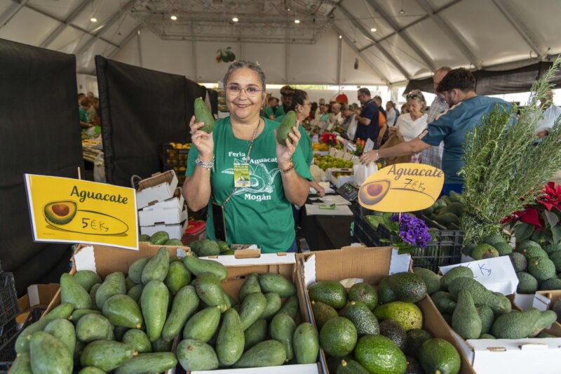 Más de cuatro toneladas vendidas en la VIII Feria del Aguacate de Mogán