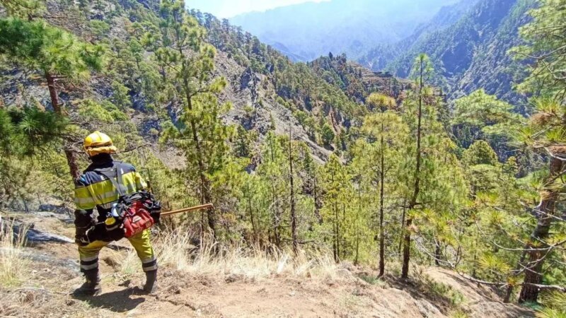 Canarias declara la alerta por altas temperaturas y riesgo de incendios forestales.