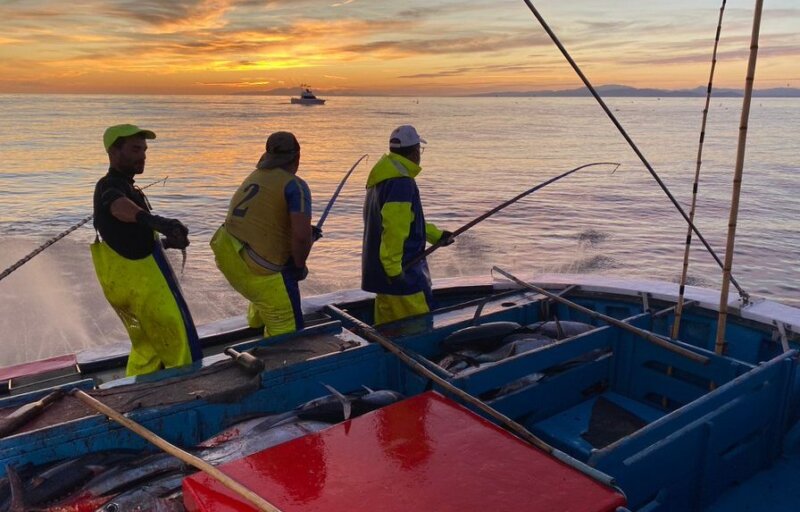 Barco pesquero en Canarias. Imagen Federación Regional de Cofradías de Canarias