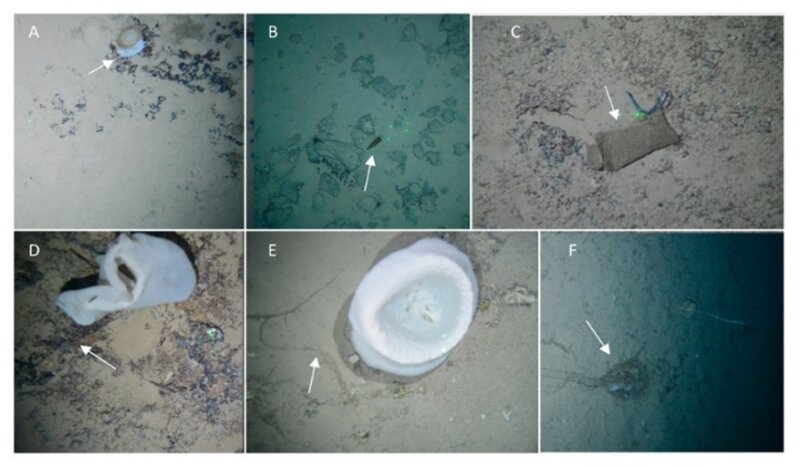 Restos localizados en la investigación realizada por el IEO de la basura marina en el área protegida del Banco de la Concepción (Lanzarote) / IEO