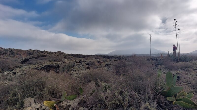 Localizan a un cazador furtivo en el Espacio Natural Protegido de Malpaís de la Arena, en Fuerteventura