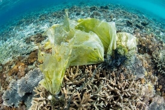 Estos microplásticos suponen un gran riesgo para la biosfera y afecta a todos los sectores ambientales: mar, tierra, aire y biota, indica el Ayuntamiento de Arico