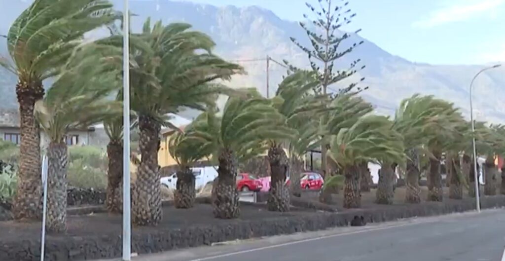 Foto archivo viento RTVC
Prealerta por viento además de fenómenos costeros y altas temperaturas en Canarias