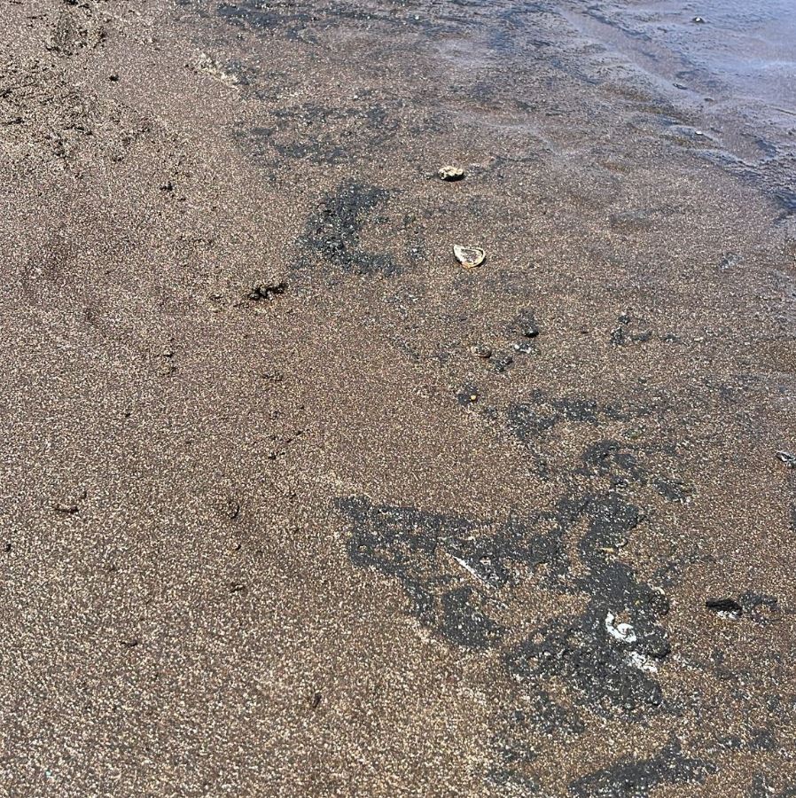 Nueva mancha de fuel en Playa del hombre.