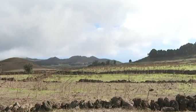 Imagen del campo en El Hierro