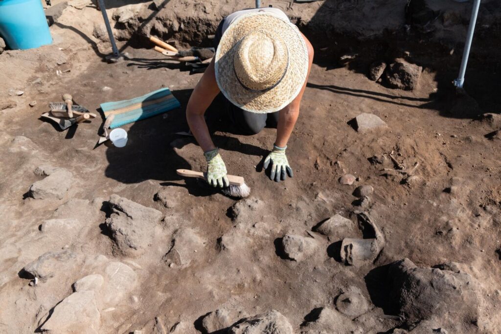 Vista de los trabajos que se están realizando en al yacimiento arqueológico romano del islote de Lobos, en Fuerteventura. En la foto, restos de cerámica en proceso de ser extraídos. 