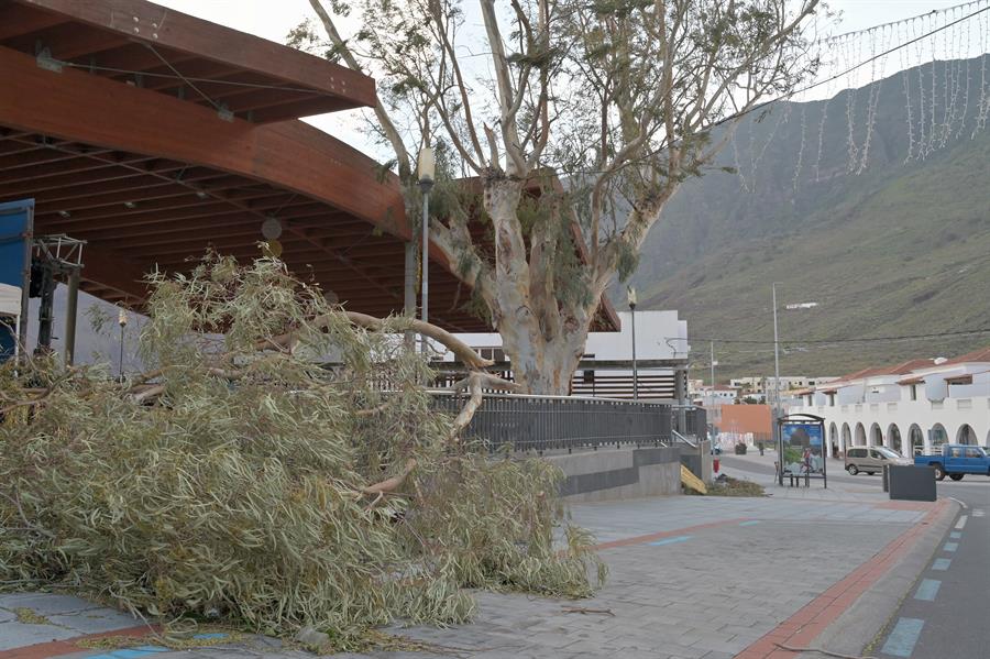 Efectos de la borrasca Dorothea en El Hierro. EFE