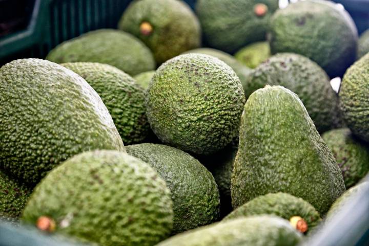 De esta forma el Aguacate de Canarias se convertiría en el único a nivel mundial con este reconocimiento europeo