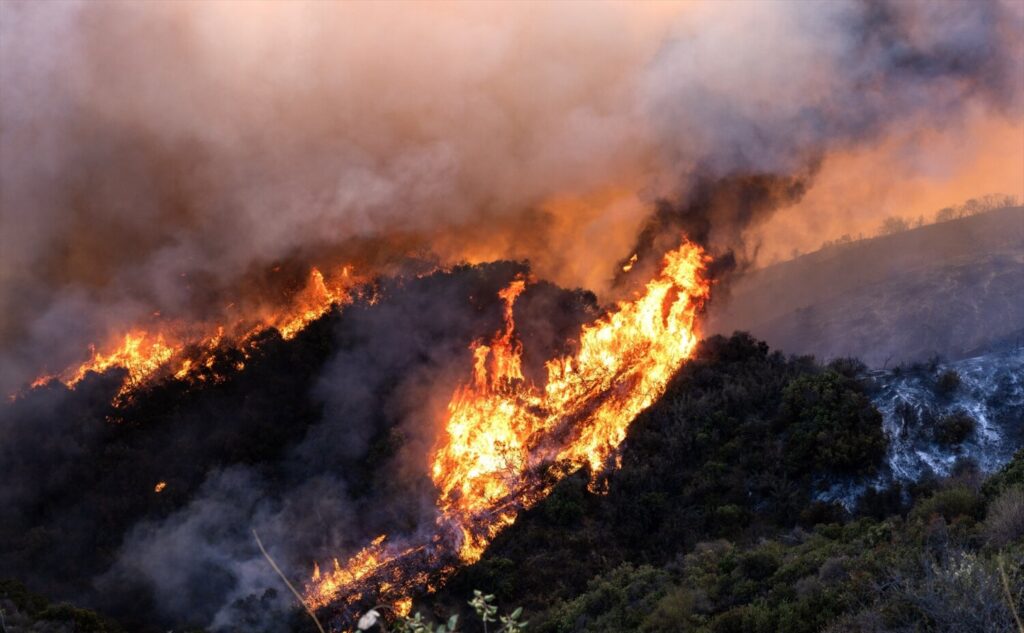 Aumentan a 24 los muertos por los incendios forestales en Los Ángeles (California)