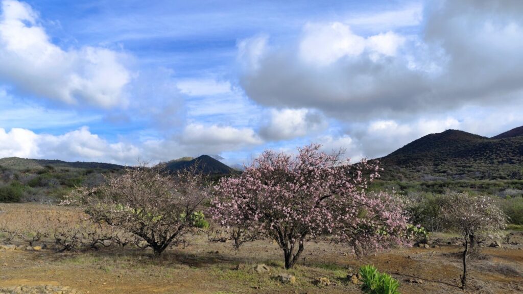 El tiempo en Canarias. Imagen: Goyo Oliva, Tenerife