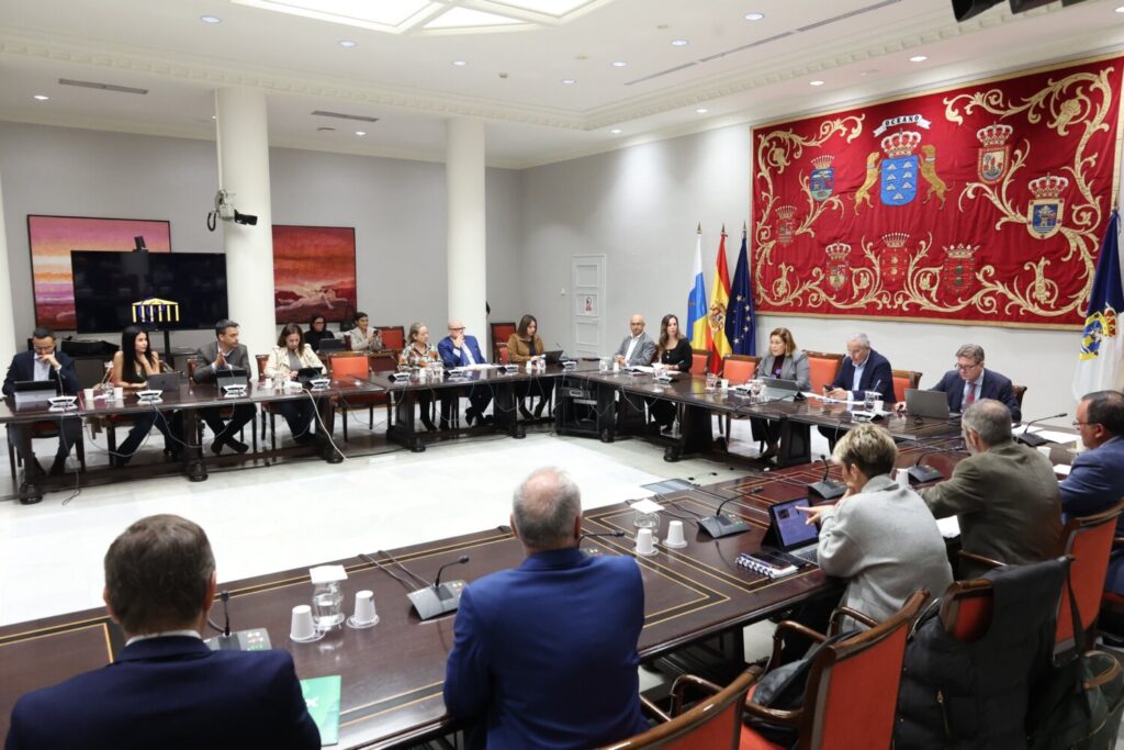 Comisión General de Cabildos Insulares en el Parlamento de Canarias. Imagen cedida por el Parlamento de Canarias