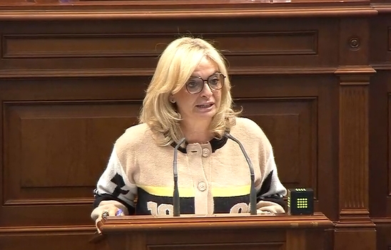 La consejera de Sanidad, Esther Monzón, en el pleno del Parlamento de Canarias. Imagen Consejería de Sanidad